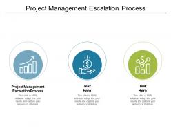 Project management escalation process ppt powerpoint presentation ideas designs cpb