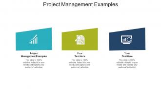 Project management examples ppt powerpoint presentation files cpb