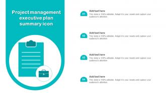 Project Management Executive Plan Summary Icon