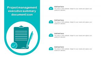 Project Management Executive Summary Document Icon