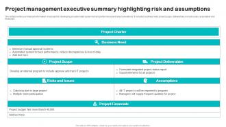 Project Management Executive Summary Highlighting Risk And Assumptions