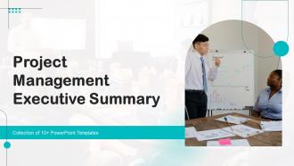 Project Management Executive Summary Powerpoint Ppt Template Bundles