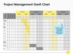 Project Management Gantt Chart Business Ppt Powerpoint Presentation Icon Clipart