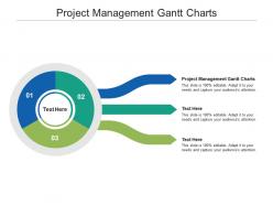 Project management gantt charts ppt powerpoint presentation file mockup cpb