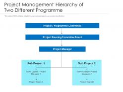 Project management hierarchy of two different programme