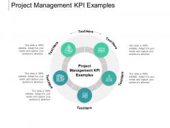 Project management kpi examples ppt powerpoint presentation layouts cpb