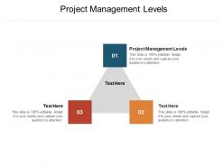Project management levels ppt powerpoint presentation example cpb