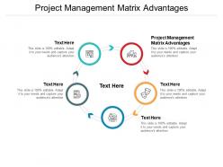 Project management matrix advantages ppt powerpoint presentation ideas skills cpb