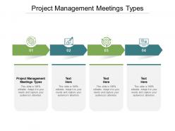 Project management meetings types ppt powerpoint presentation layouts infographics cpb