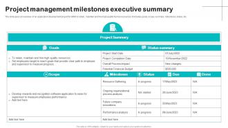 Project Management Milestones Executive Summary
