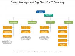 Project management org chart for it company