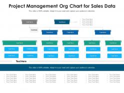 Project management org chart for sales data infographic template