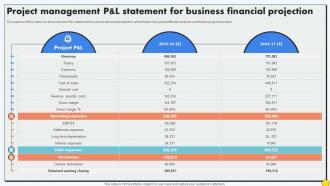Project Management P And L Statement For Business Financial Projection