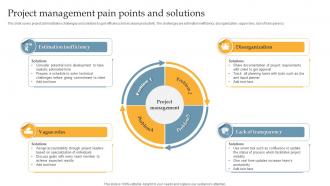 Project Management Pain Points And Solutions