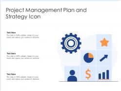Project management plan and strategy icon