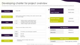 Project Management Plan Playbook Developing Charter For Project Overview