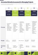 Project Management Playbook Determine Maturity Assessment For One Pager Sample Example Document