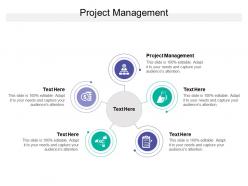 Project management ppt powerpoint presentation professional examples cpb