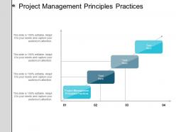 Project management principles practices ppt powerpoint presentation infographics structure cpb