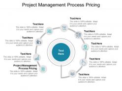 Project management process pricing ppt powerpoint presentation layouts ideas cpb