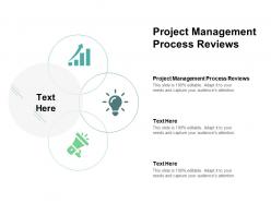 Project management process reviews ppt powerpoint presentation summary picture cpb