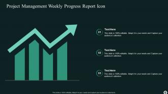 Project Management Progress Report Powerpoint Ppt Template Bundles