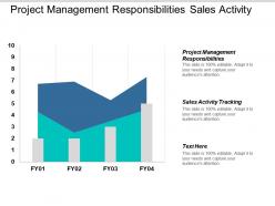 Project management responsibilities sales activity tracking strategy management cpb