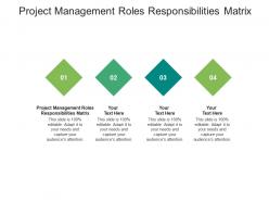 Project management roles responsibilities matrix ppt powerpoint presentation gallery structure cpb