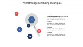 Project management sizing techniques ppt powerpoint presentation show slide cpb
