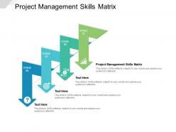 Project management skills matrix ppt powerpoint presentation outline portrait cpb