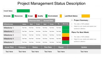 Project management status description powerpoint slide rules