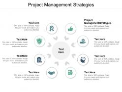 Project management strategies ppt powerpoint presentation ideas layouts cpb