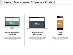 Project management strategies product channel relationship strategic segmentation cpb