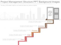 Project Management Structure Ppt Background Images