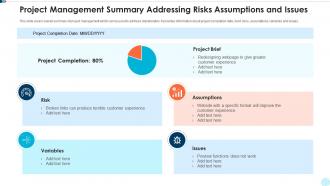 Project management summary addressing risks assumptions and issues