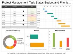 Project management task status budget and priority dashboard