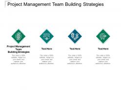 Project management team building strategies ppt powerpoint presentation slide cpb