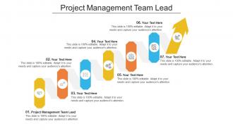 Project Management Team Lead Ppt Powerpoint Presentation Gallery Professional Cpb