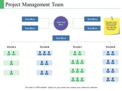 Project Management Team Ppt Powerpoint Presentation Model Layouts