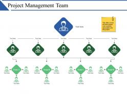 Project management team ppt sample presentations