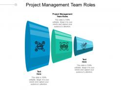 Project management team roles ppt powerpoint presentation gallery icons cpb