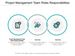 Project management team roles responsibilities ppt visual aids model cpb