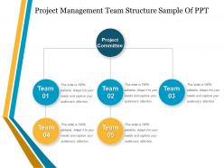 Project management team structure sample of ppt