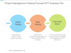 Project Management Testing Process Ppt Example File