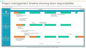 Project Management Timeline Showing Team Responsibilities