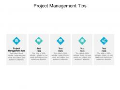 Project management tips ppt powerpoint presentation infographics designs download cpb
