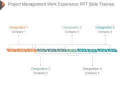 Project management work experience ppt slide themes