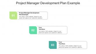 Project manager development plan example ppt powerpoint presentation inspiration cpb