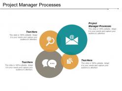 Project manager processes ppt powerpoint presentation file graphics cpb