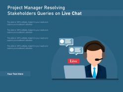 Project manager resolving stakeholders queries on live chat